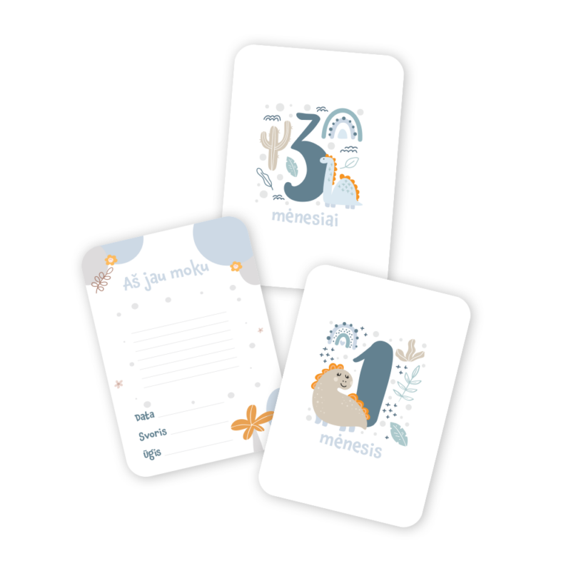 Mėnesių Kortelių Rinkinys Fotosesijoms - Dinozauras