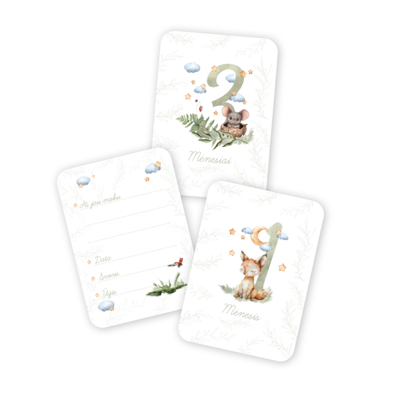 Mėnesių Kortelių Rinkinys Fotosesijoms - Miško gyvūnai