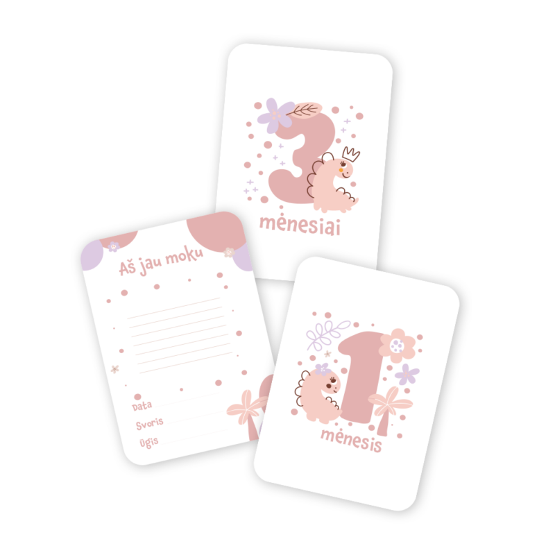 Mėnesių Kortelių Rinkinys Fotosesijoms - Rausvas Dinozauras