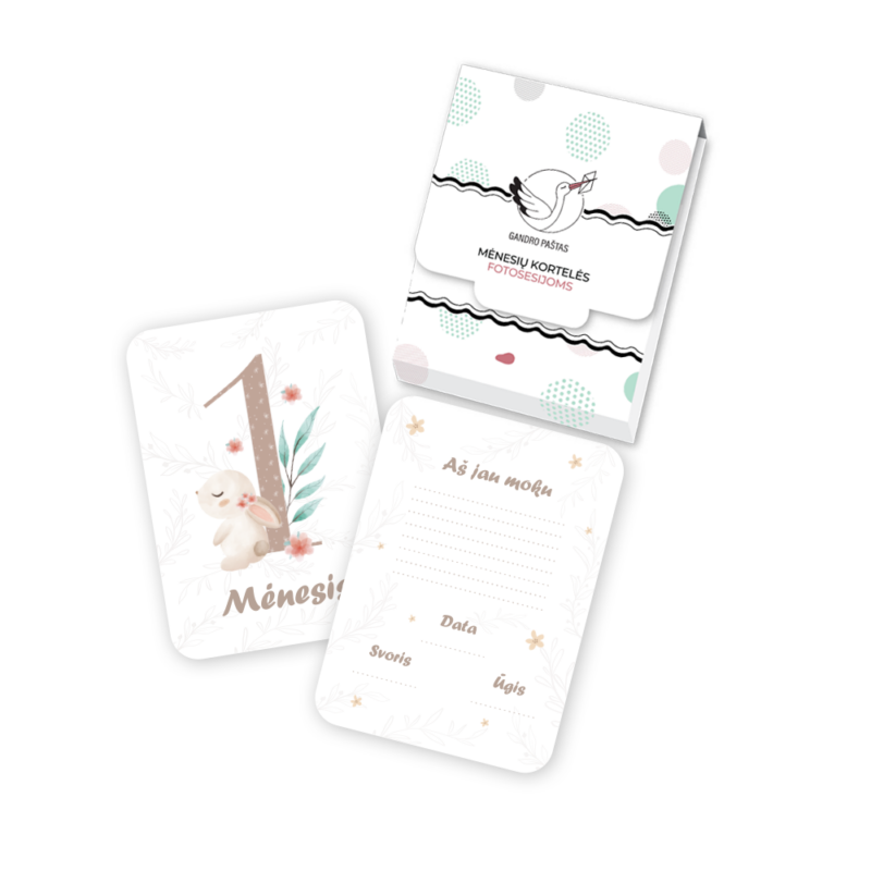 GP_Kortelių vizualizacija_Zuikutis_1