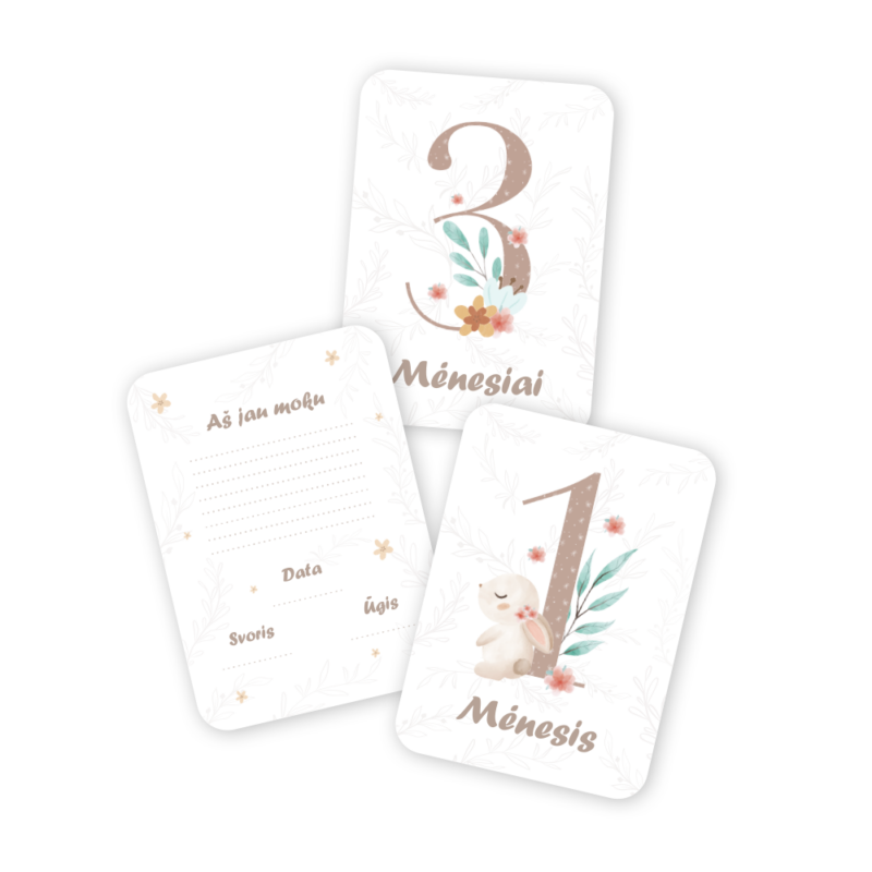 Mėnesių Kortelių Rinkinys Fotosesijoms - Zuikutis