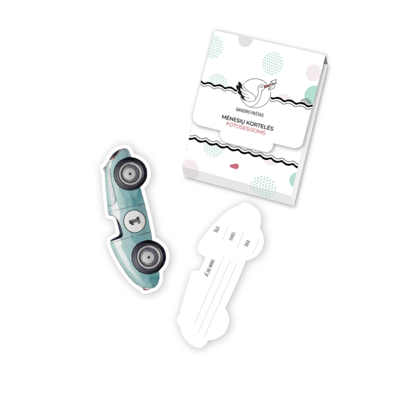 GP_Kortelių_vizualizacija_Mašinėlės