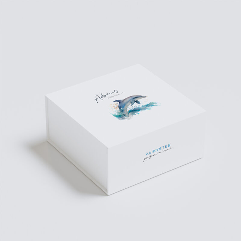 Prisiminimų dėžutė - Delfinas