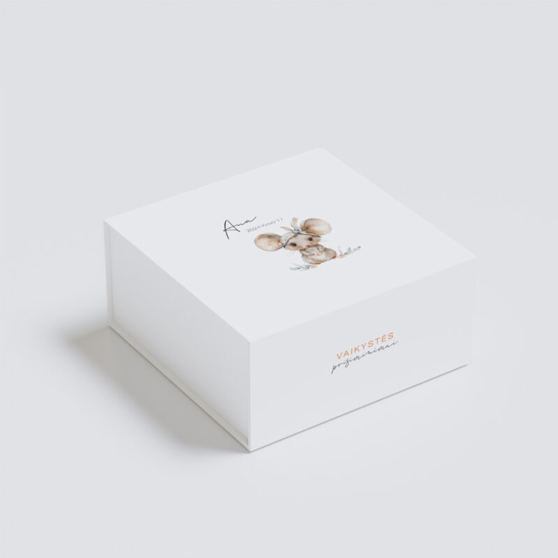 Prisiminimų dėžutė - Peliukas