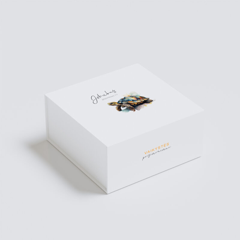 Prisiminimų dėžutė - Vėžlys