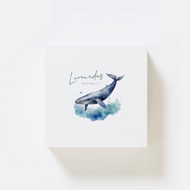 GP_Prisiminimų Dėžutės_e-shop_Vizualizacijos_Viršus_Banginis