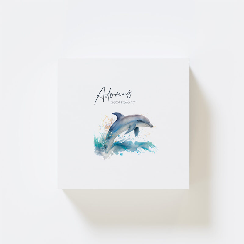 GP_Prisiminimų Dėžutės_e-shop_Vizualizacijos_Viršus_Delfinas