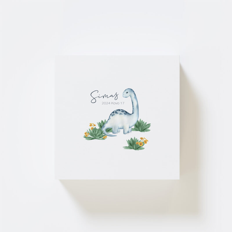 GP_Prisiminimų Dėžutės_e-shop_Vizualizacijos_Viršus_Dinozauras