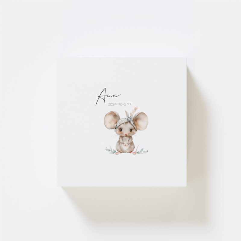 GP_Prisiminimų Dėžutės_e-shop_Vizualizacijos_Viršus_Peliukas