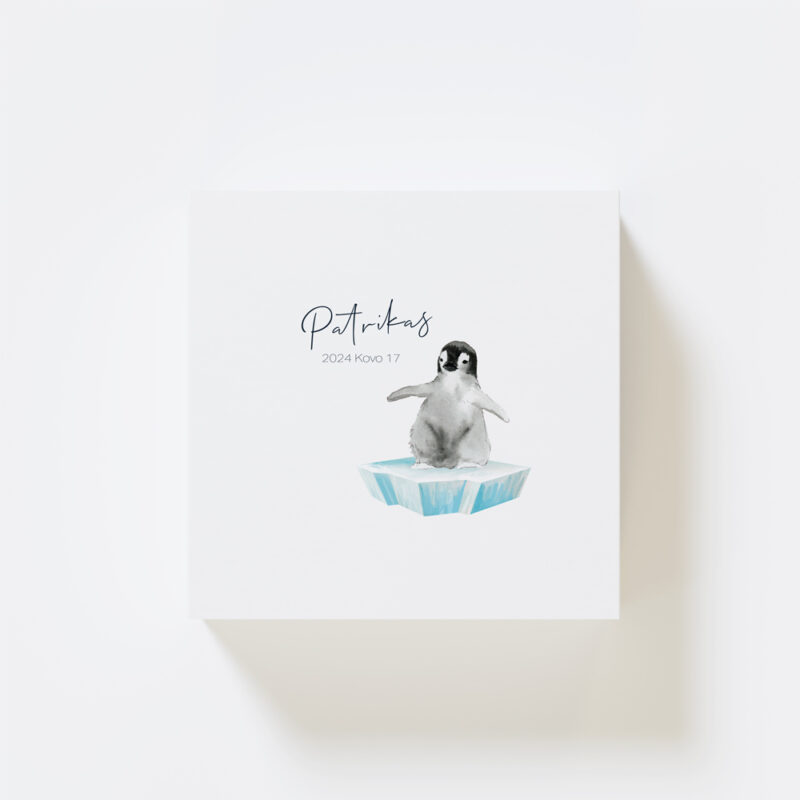 GP_Prisiminimų Dėžutės_e-shop_Vizualizacijos_Viršus_Pingvinas