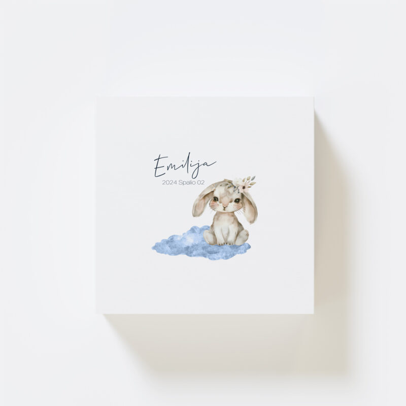 GP_Prisiminimų Dėžutės_e-shop_Vizualizacijos_Viršus_Zuikutis