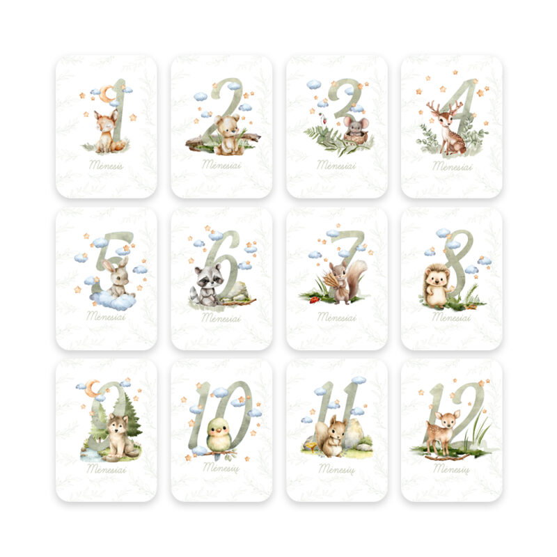 Gimimo korteles_12vnt_misko gyvunai