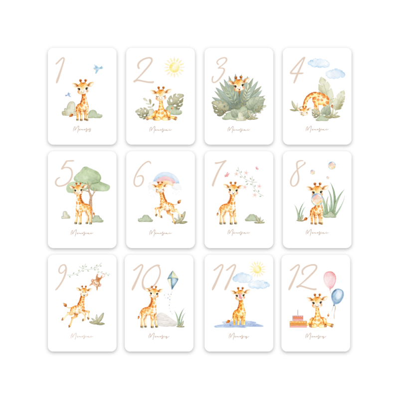 Kortelių_vizualizacija