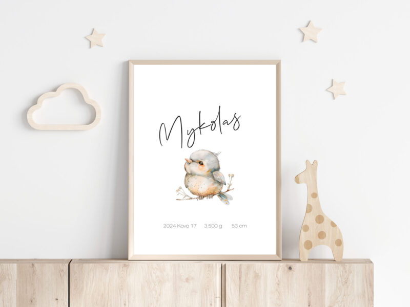 Personalizuotas Gimimo Dienos Metrikas