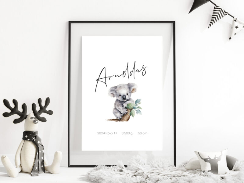 Personalizuotas Gimimo Dienos Metrikas