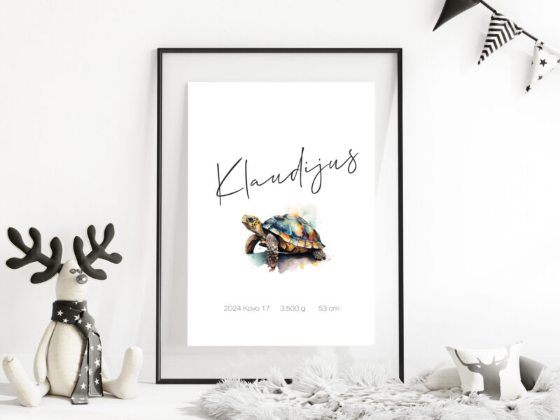 Gimimo dienos metrika - Vėžlys