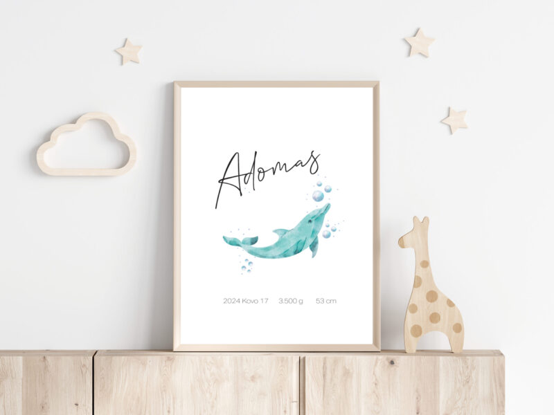 Personalizuotas Gimimo Dienos Metrikas