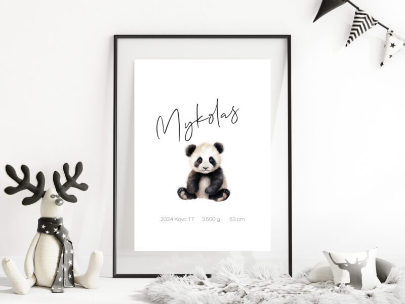 Personalizuotas Gimimo Dienos Metrikas