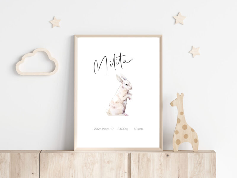 Personalizuotas Gimimo Dienos Metrikas