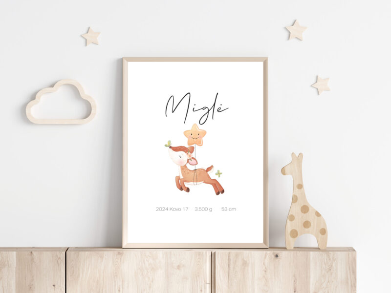 Gimimo dienos metrika - Stirniukas