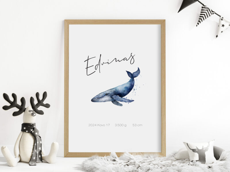 Gimimo dienos metrika - Banginis Water