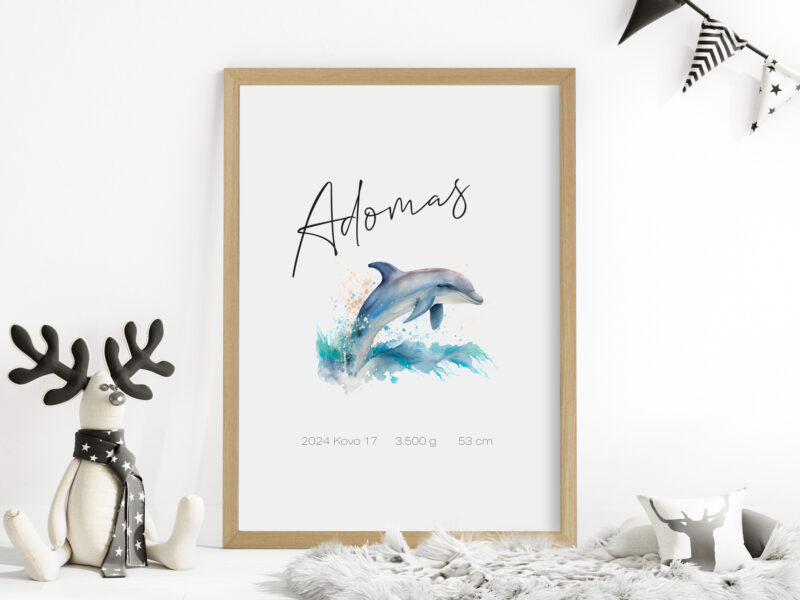 Gimimo dienos metrika - Delfinas Bangoje