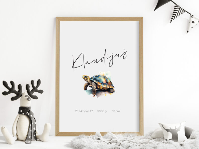 Gimimo dienos metrika - Vėžlys