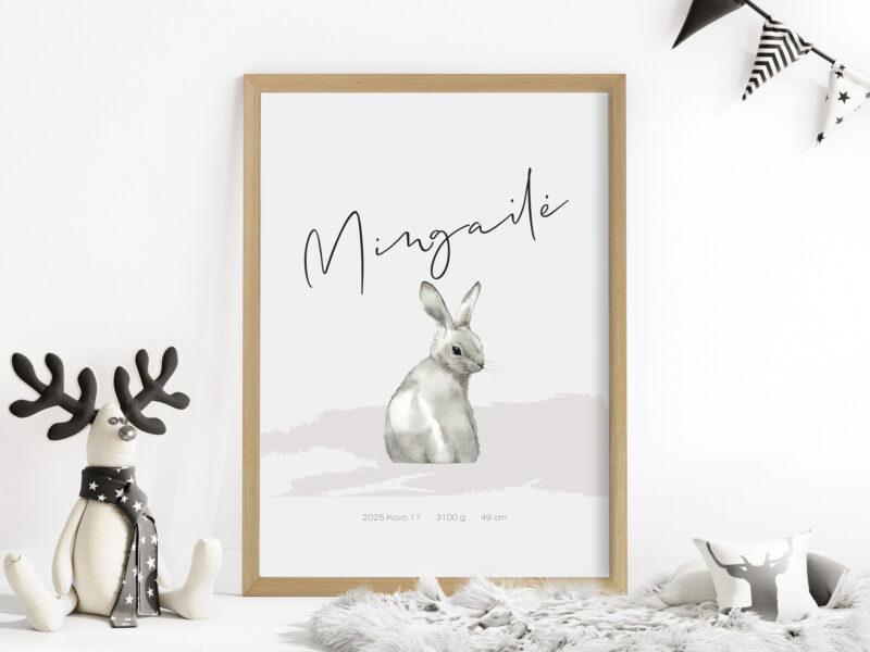 Gimimo dienos metrika - Baltas Kiškutis