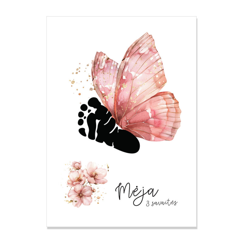 Gandro_pastas_Peduciu_ispaudu_paveikslas_Drugelis_2