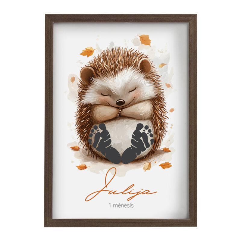 GP_Ežiukas_Vizualizacija_1