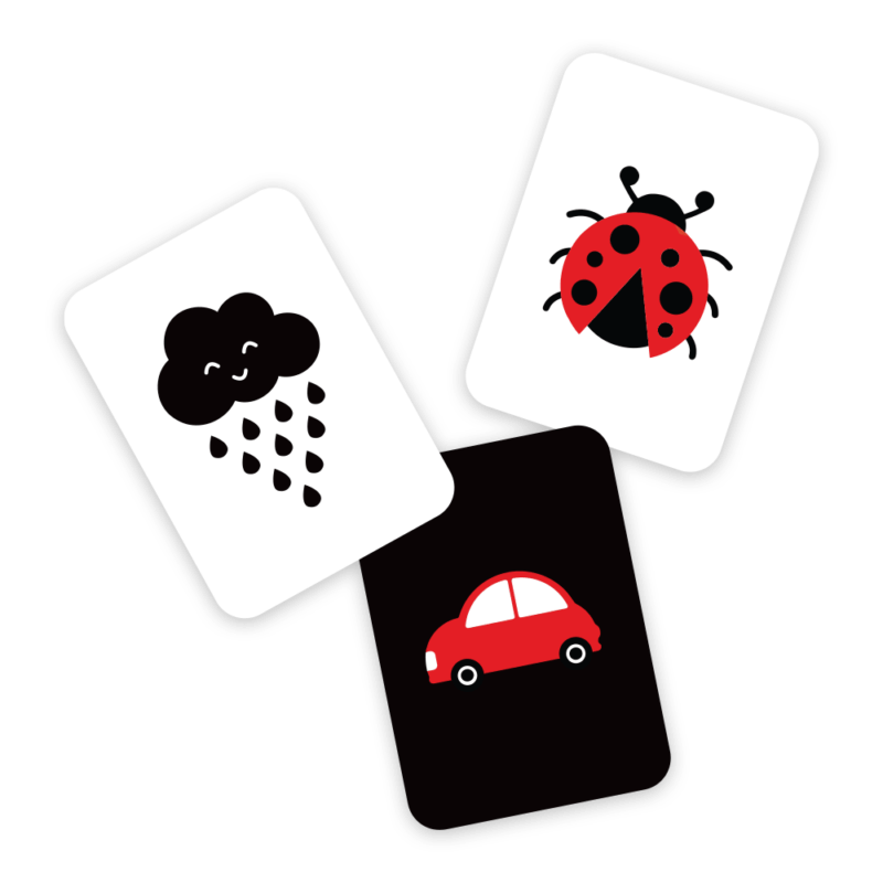 Kortelių_vizualizacija_3