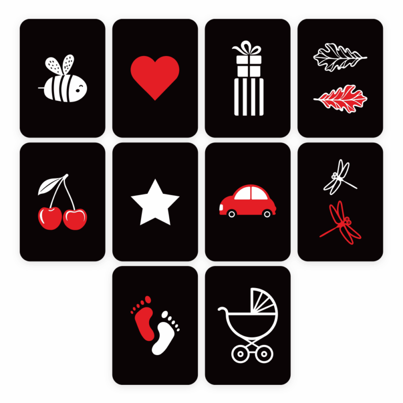 Kortelių_vizualizacija_galas