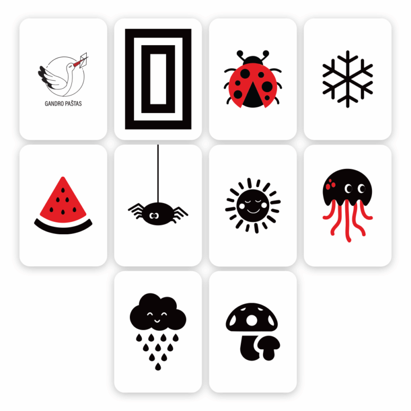 Kortelių_vizualizacija_priekis