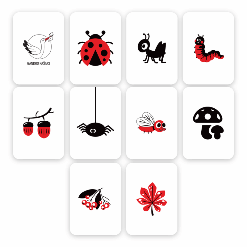 Vabaliukai_kortelių_vizualizacija_1