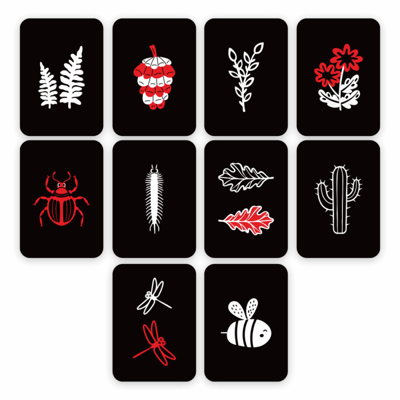 Vabaliukai_kortelių_vizualizacija_2