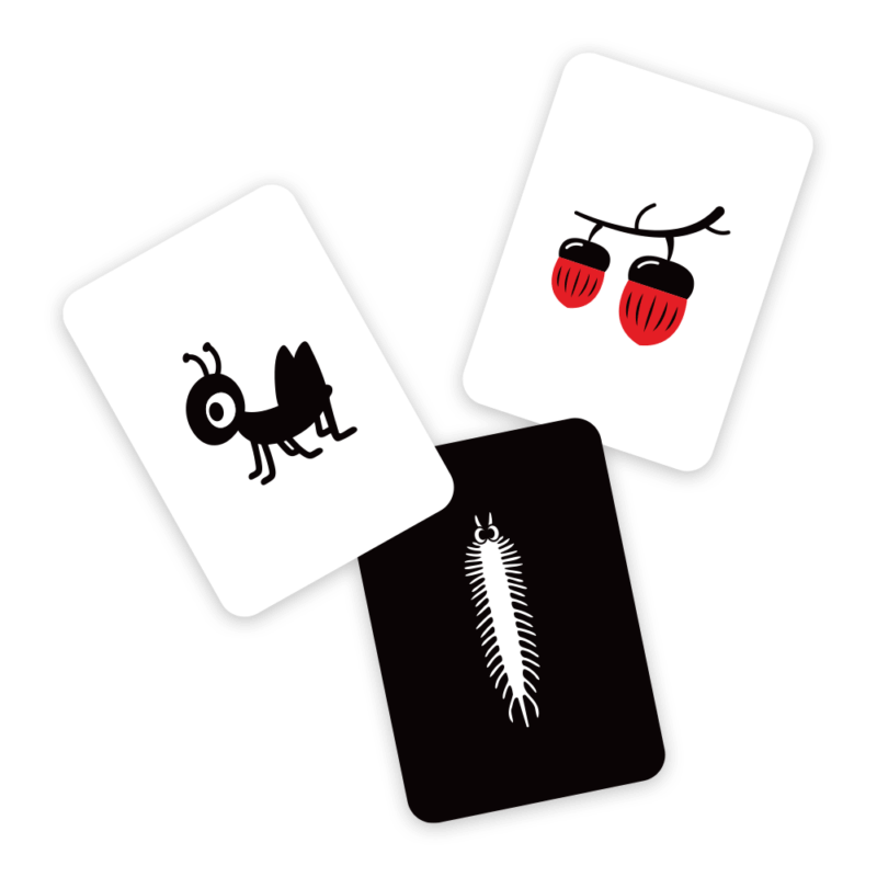 Vabaliukai_kortelių_vizualizacija_3