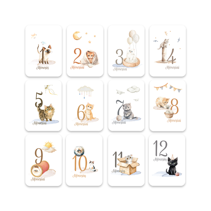 GP_Mėnesių kortelės_Kačiukas_Vizualizacija