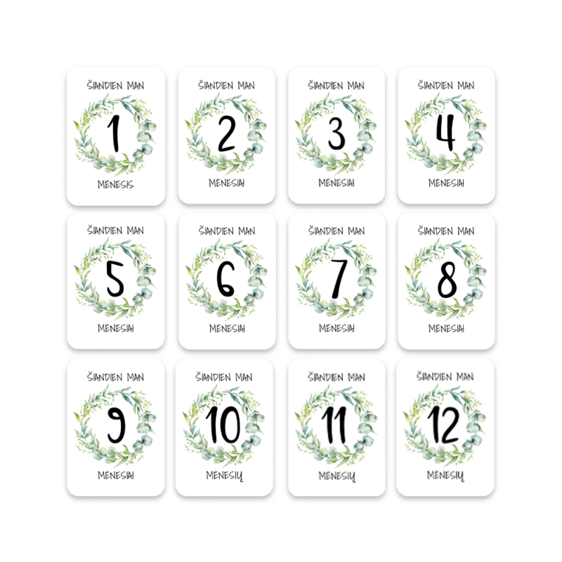 GP_Mėnesių kortelės_Žalios_Vizualizacija_3