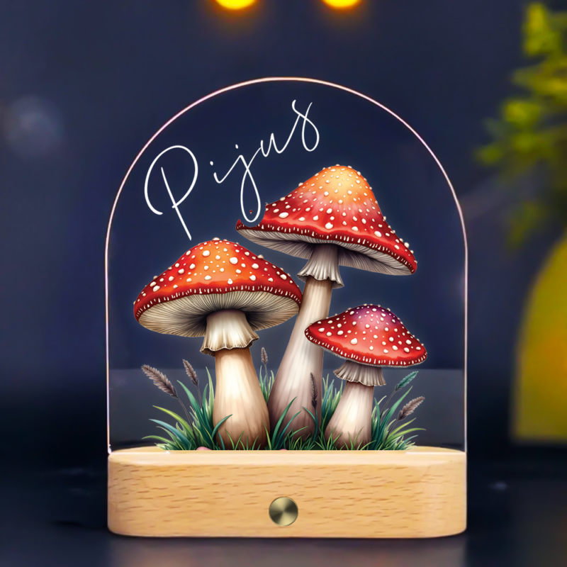 Personalizuota naktinė švieselė - Stebuklingas Miškas