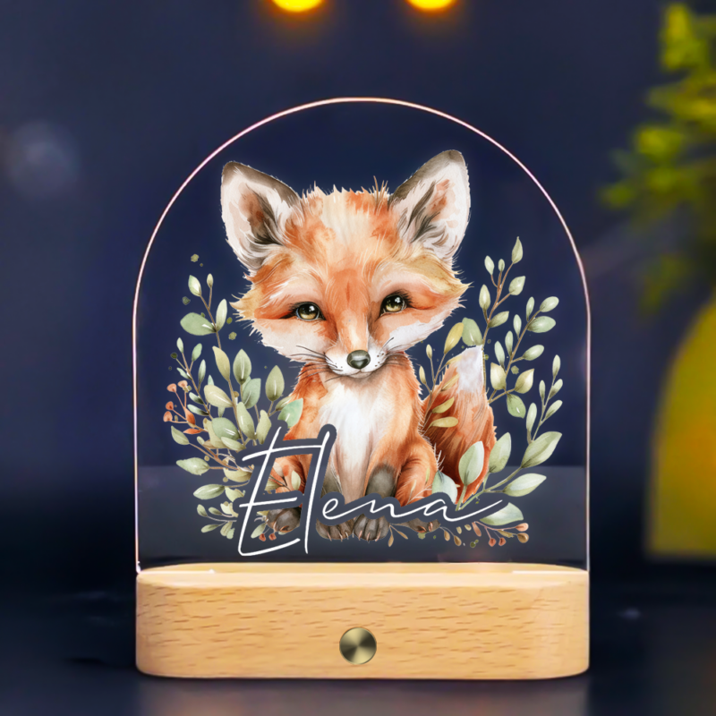 Personalizuota naktinė švieselė - Laputė