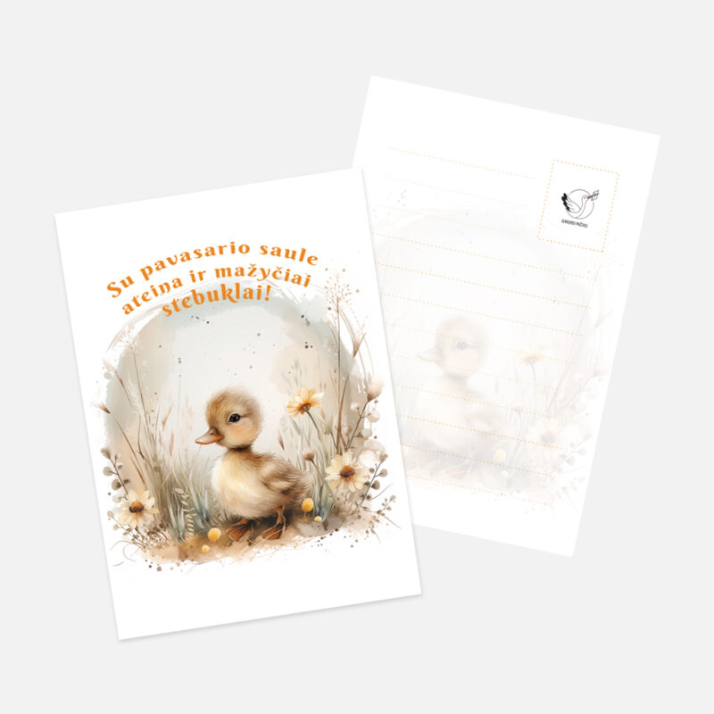 Šventiniai atvirukai - Ančiukas